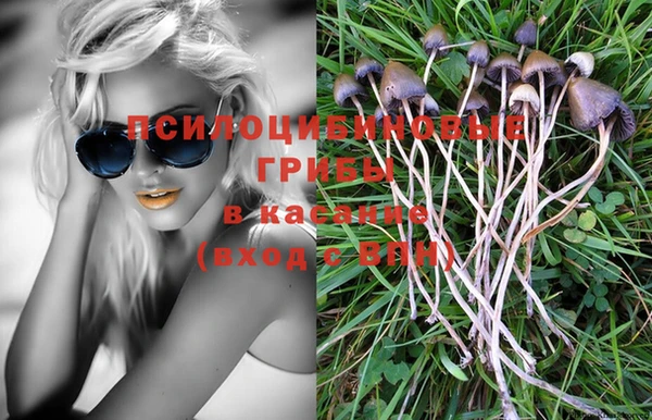 МДПВ Аркадак