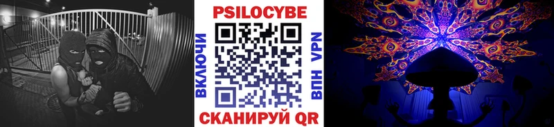 где купить наркотик  Кологрив  Галлюциногенные грибы GOLDEN TEACHER 